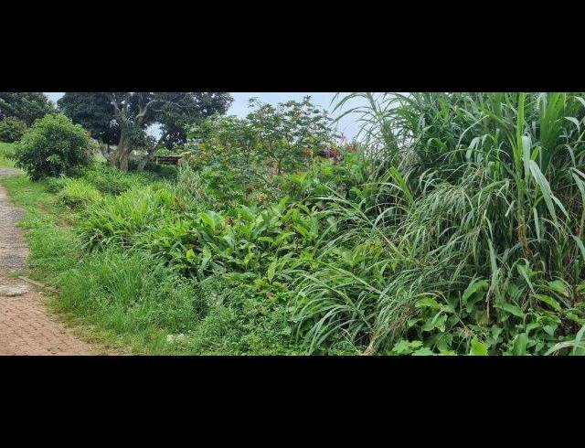 3,699M² VACANT LAND FOR SALE IN AVOCA